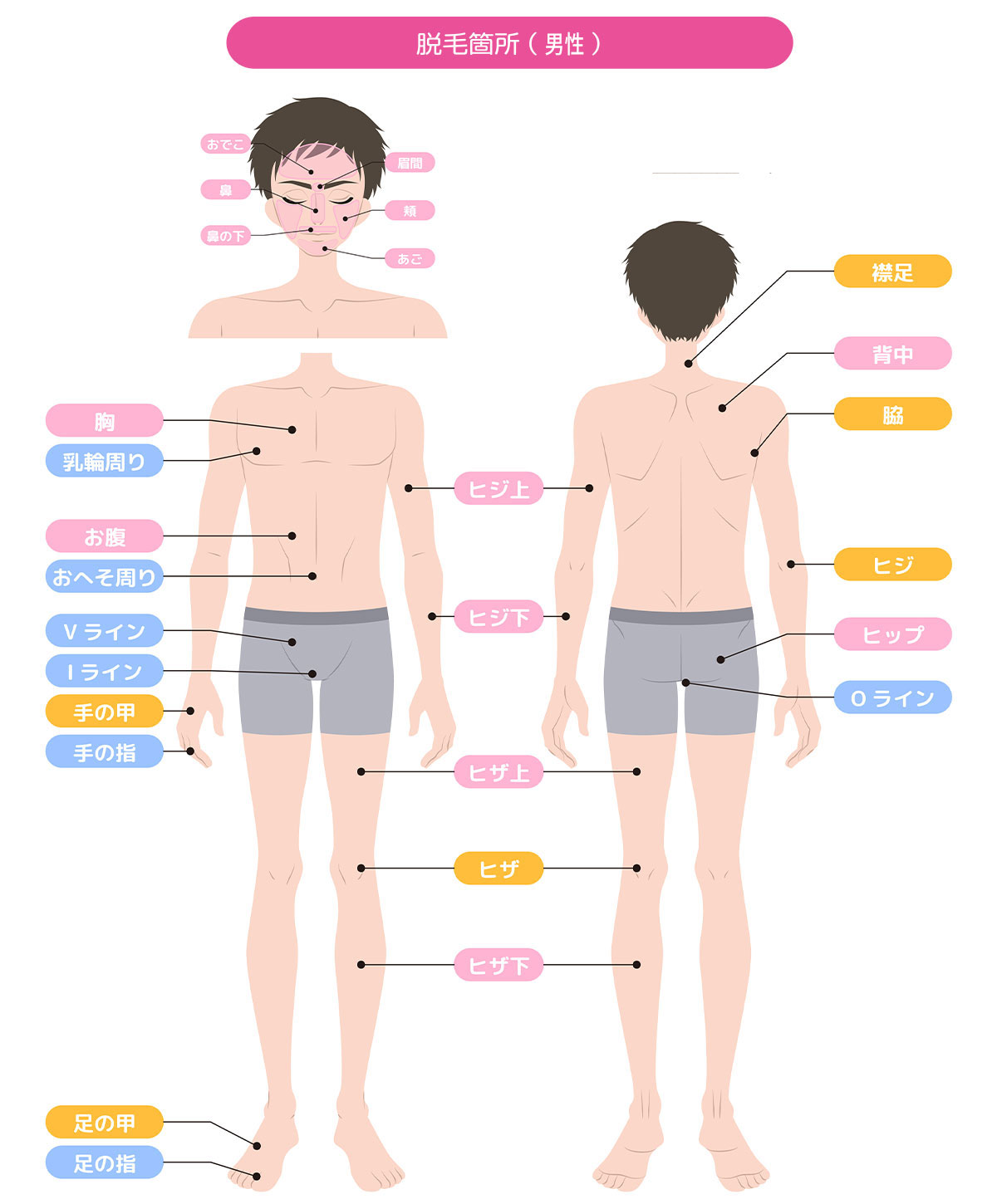 脱毛箇所（男性）